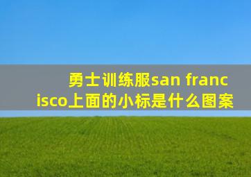 勇士训练服san francisco上面的小标是什么图案